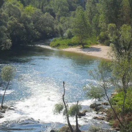 Kraljevic *