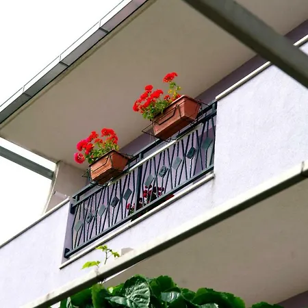 Kraljevic Apartamento